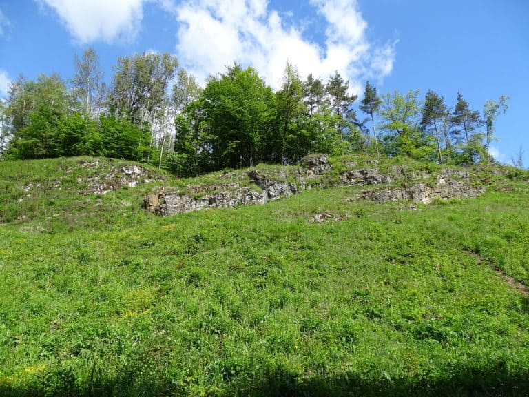 Cooperation with the Ojcow National Park