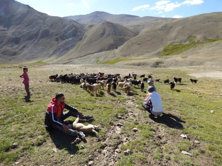 People and plants - close relations on the Silk Road