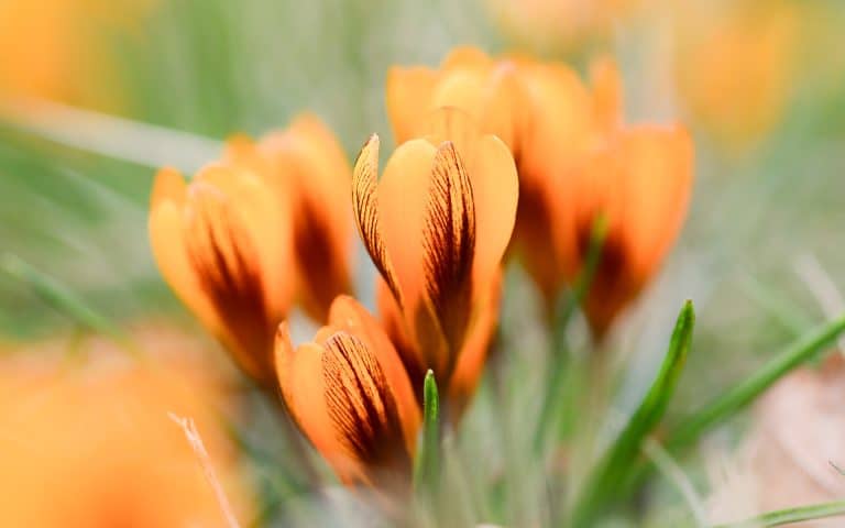 Świąteczne życzenia