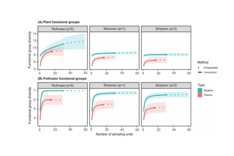 Poznaliśmy złożoną sieć interakcji między roślinami a&nbsp;zapylaczami w&nbsp;Środkowej Europie