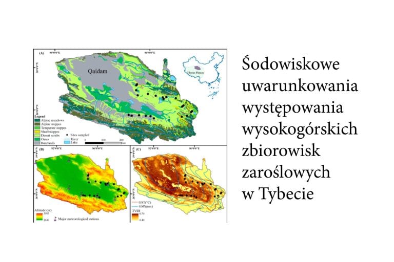 Zrozumieliśmy środowiskowe uwarunkowania występowania wysokogórskich zbiorowisk zaroślowych w&nbsp;Tybecie