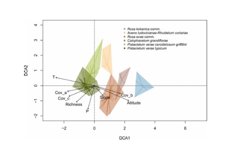 Ustaliliśmy klasyfikację ciepłolubnych gajów i&nbsp;lasków z&nbsp;pistacją, judaszowcem i&nbsp;różami w&nbsp;Tadżykistanie