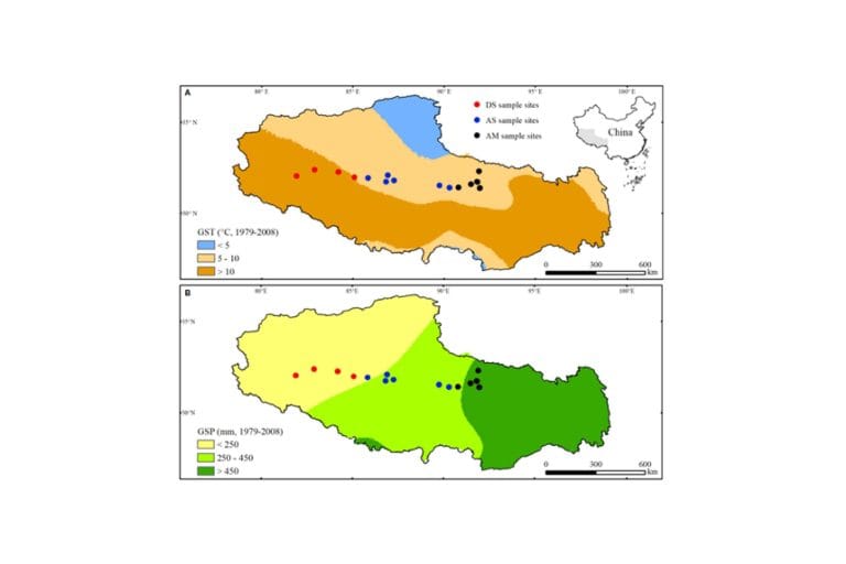 Klimat ma&nbsp;największe znaczenie dla rozwoju alpejskich traworośli w&nbsp;północnym Tybecie