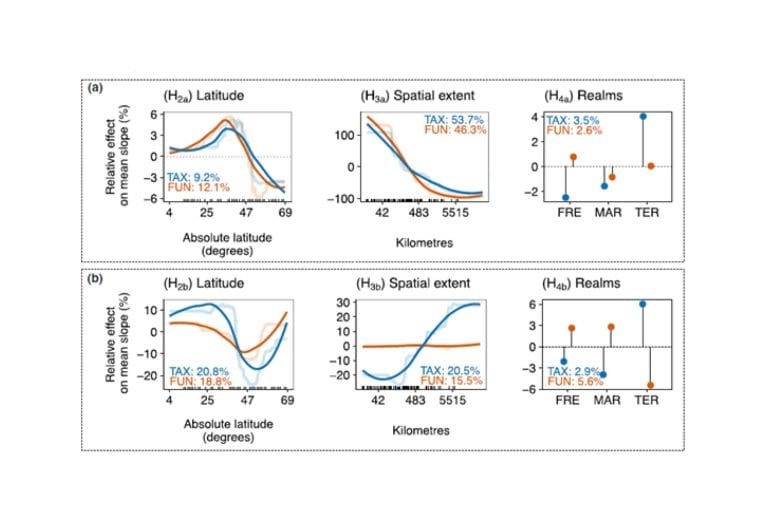 Poznaliśmy wzorce zmian w&nbsp;różnorodności taksonomicznej i&nbsp;funkcjonalnej w&nbsp;kontekście wymiany gatunków w&nbsp;fitocenozach