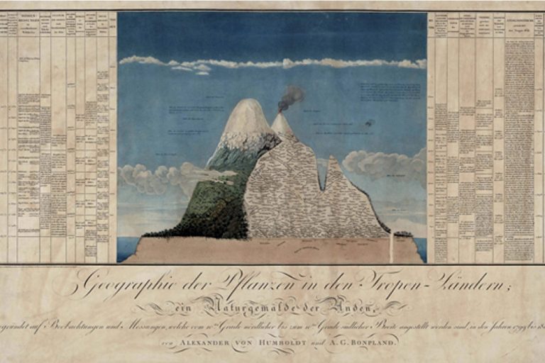 Geobotanika – nowoczesna dyscyplina badawcza wynikająca z&nbsp;podziwu do&nbsp;piękna przyrody i&nbsp;pasji odkrywania