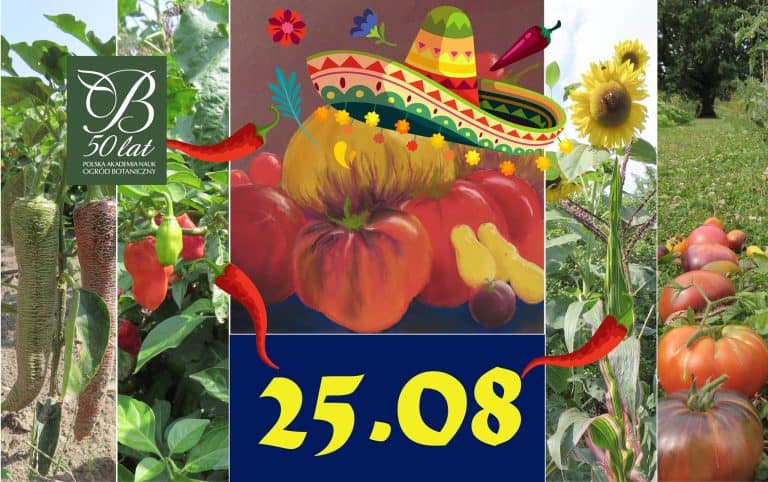 Explore, taste, draw - vegetables from across the ocean