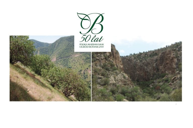 We have defined a new class of vegetation - pistachio groves