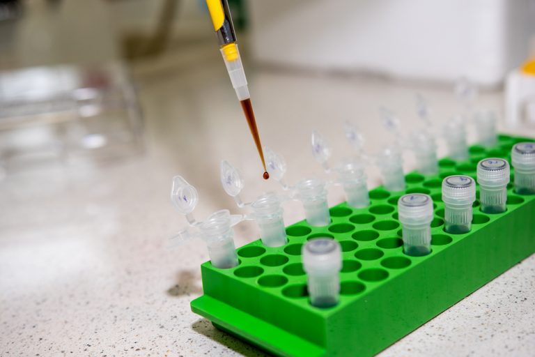 Wiemy, co&nbsp;zaburza izolację DNA dla celów metabarkodingu z&nbsp;próbek nadziemnych i&nbsp;podziemnych zbiorowisk łąkowych