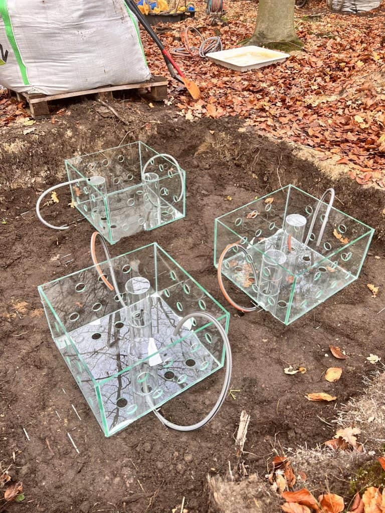 PAN Botanical Garden scientists translocate symbiotic orchids