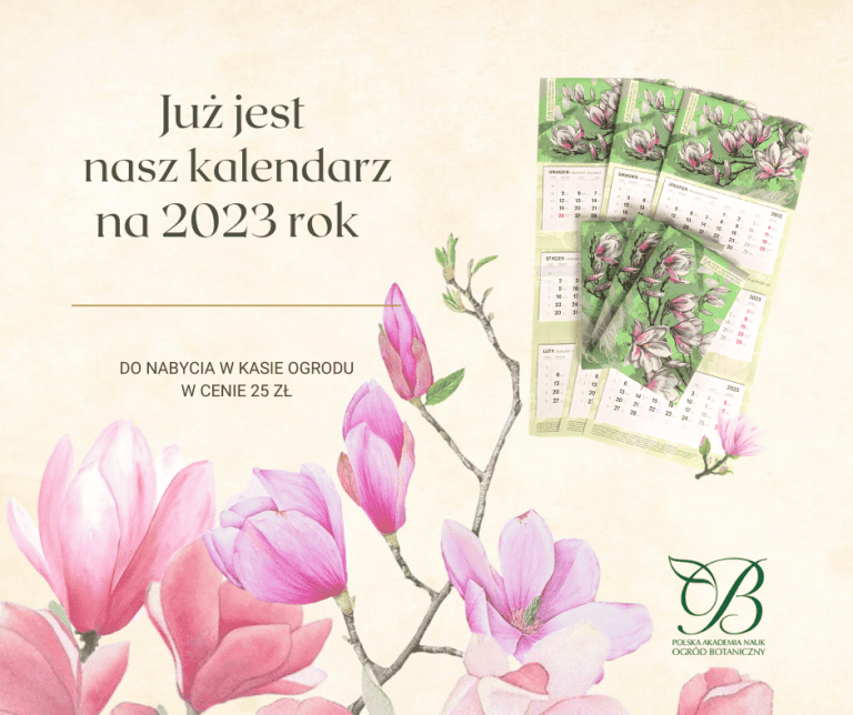 Nasz kalendarz na&nbsp;2023 roku