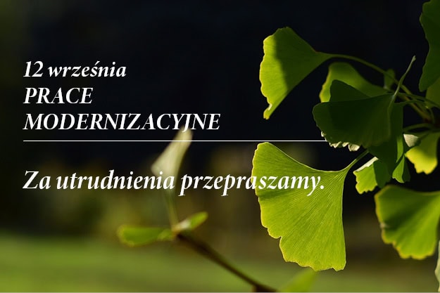 12.09. - modernization work