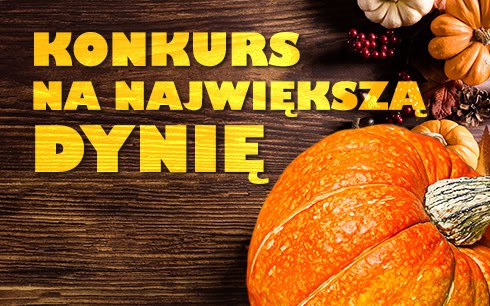 Competition for the largest pumpkin