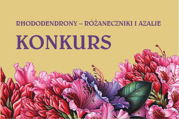 RHODODENDRONS - RHODODES AND AZALES - art contest