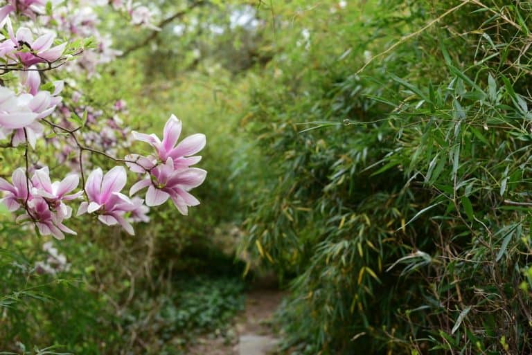 Majówka w&nbsp;Ogrodzie