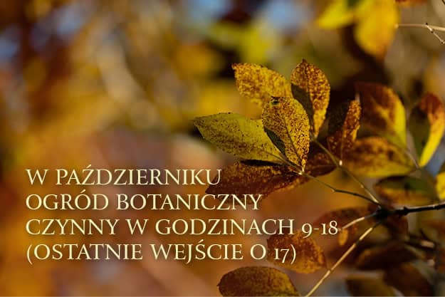 Opening hours in October