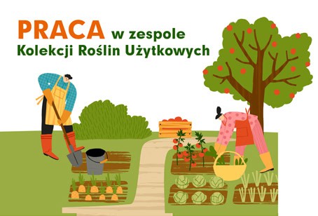 Ogłoszenia o&nbsp;pracę w&nbsp;Zespole Kolekcji Użytkowych