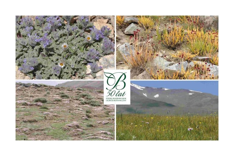 We learned about the diversity of vegetation of the highest peaks of Pamir and Tienshan