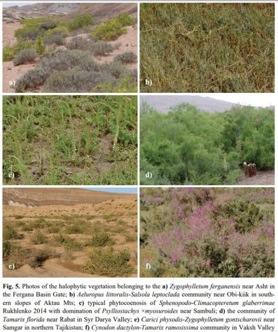 Roslinnosctadzykistan