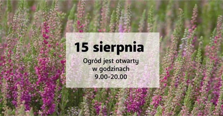 15 sierpnia – Ogród jest otwarty