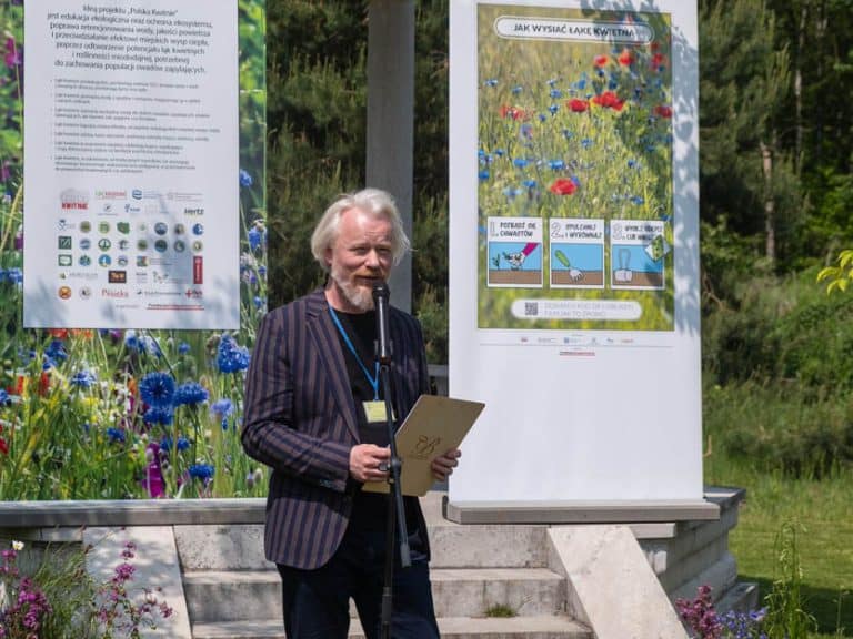 Sowing a flower meadow