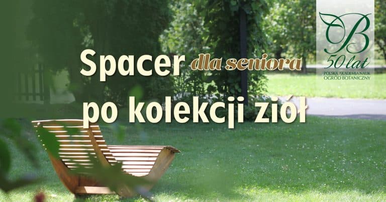 Spacer dla Seniora – POŻEGNANIE LATA W&nbsp;KOLEKCJI ZIÓŁ