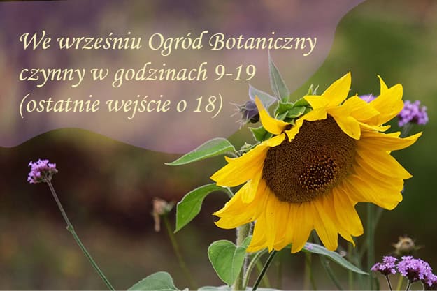 Opening hours in September