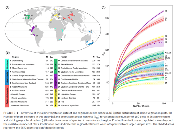 Poznaliśmy globalne wzorce bogactwa gatunkowego roślin naczyniowych w&nbsp;piętrze alpejskim