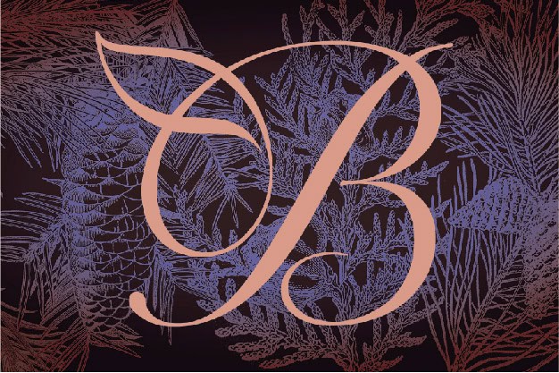 Christmas wishes 2024