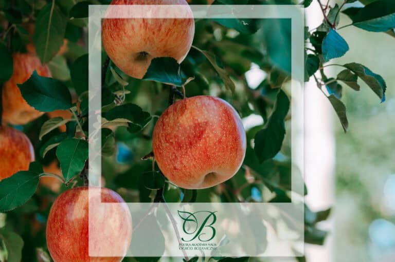 We have finished taking orders for scions of historical apple varieties