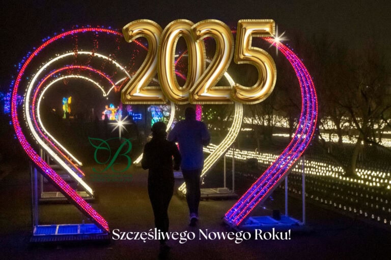 Best wishes - abundance in the new year 2025!