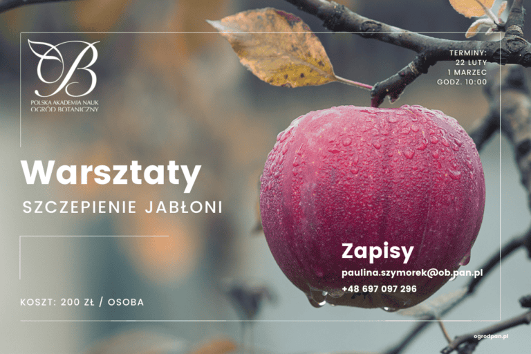 Workshop on grafting old varieties of apple trees - REGISTER!