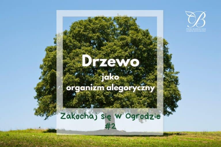 Zakochaj się w Ogrodzie #2 ✿ Drzewo jako organizm alegoryczny ✿ dr Paweł Kojs