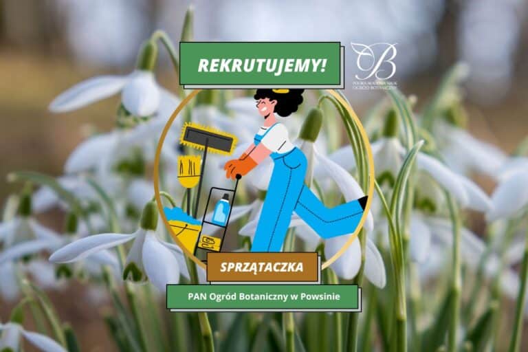 Job offer - we are looking for a Cleaner/Janitor!