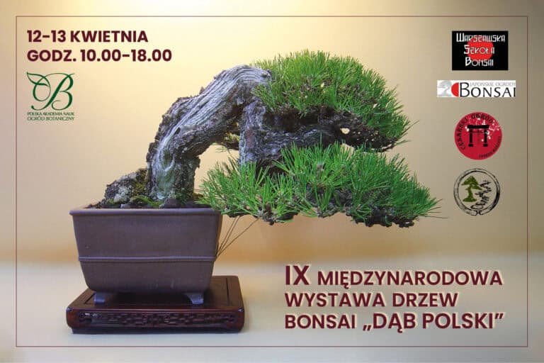 IX International Bonsai Tree Exhibition "POLISH OAK".