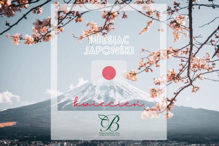 "Japan Month" - online tickets