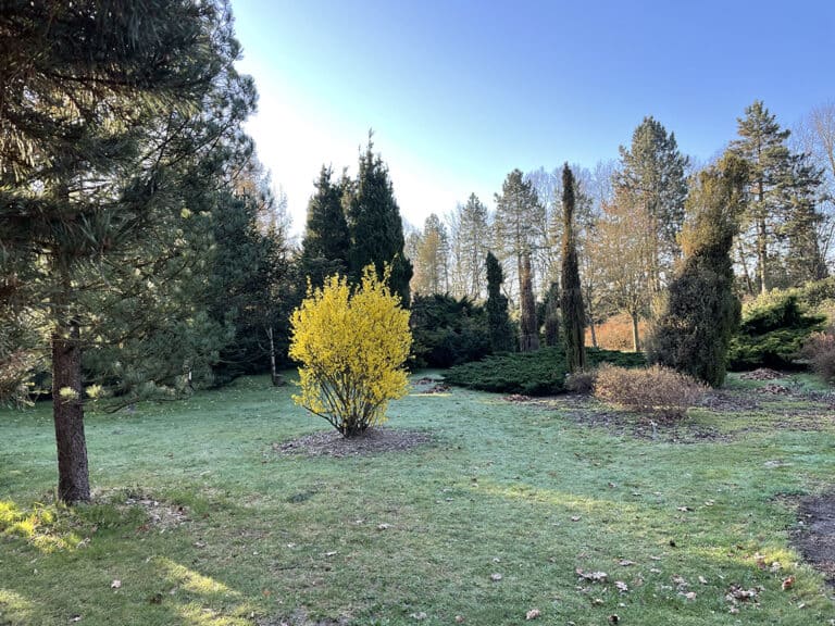 Galeria 📸 Okiem naukowca 📸 prof. dr hab. Anna Mikuła