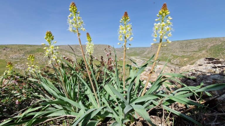 Wizyta naukowa w&nbsp;Kazachstanie