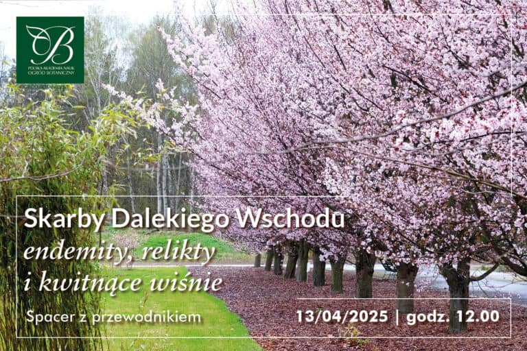 "Treasures of the Far East". - walk