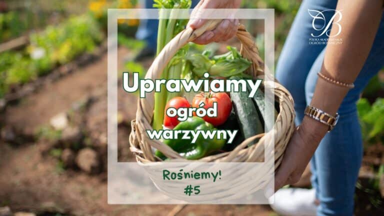 Rośniemy! #5 ✿ Uprawiamy ogród warzywny ✿ Ewa Napiórkowska
