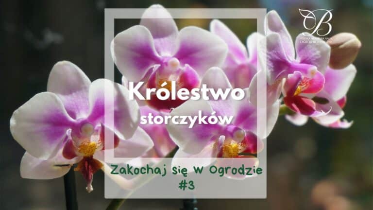 Zakochaj się w Ogrodzie #3 ✿ Królestwo storczyków ✿ dr hab. Marta Kolanowska