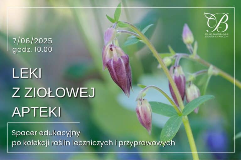 Medicines from the herbal pharmacy - a walkthrough