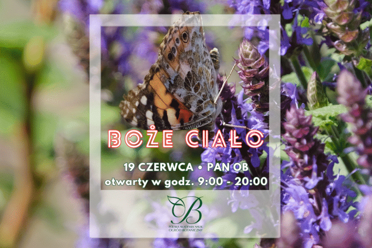 On Corpus Christi we are open!