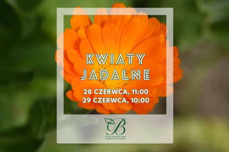 Edible flowers - workshop