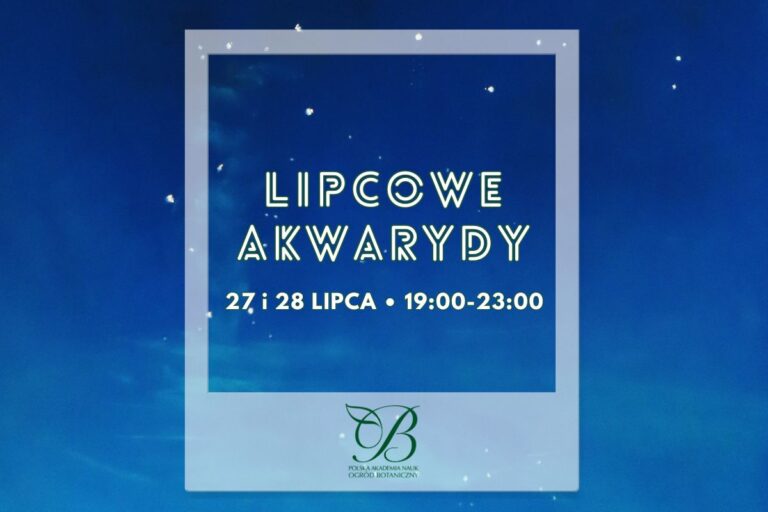 Lipcowe Akwarydy – spacer w&nbsp;blasku Księżyca