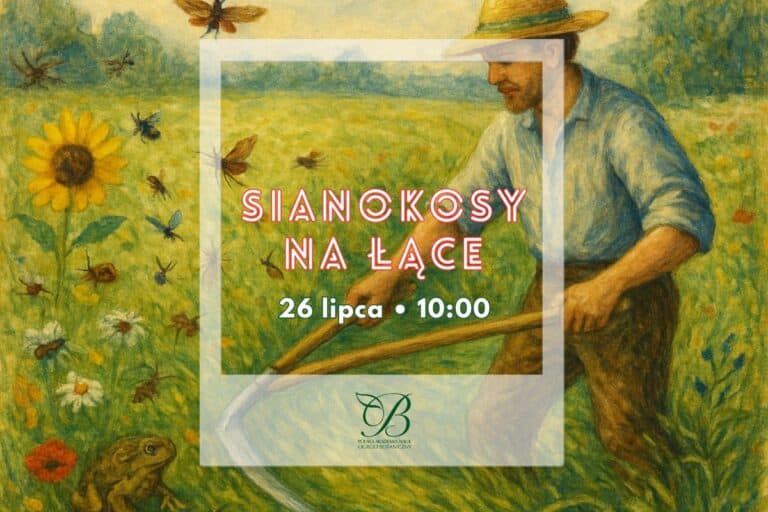 Hayrides in the meadow - welcome!