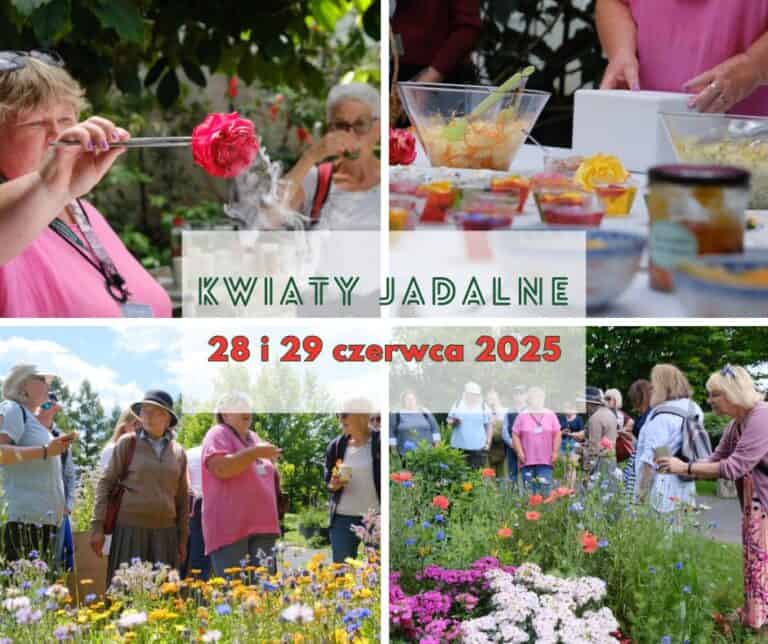 Edible flowers - summary of the workshop