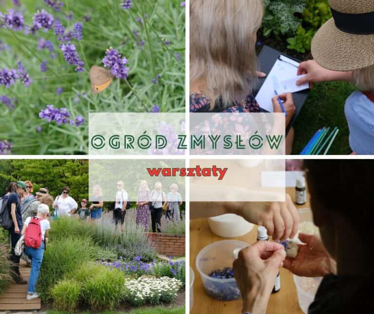 Echoes of a walk through the "Garden of the Senses"