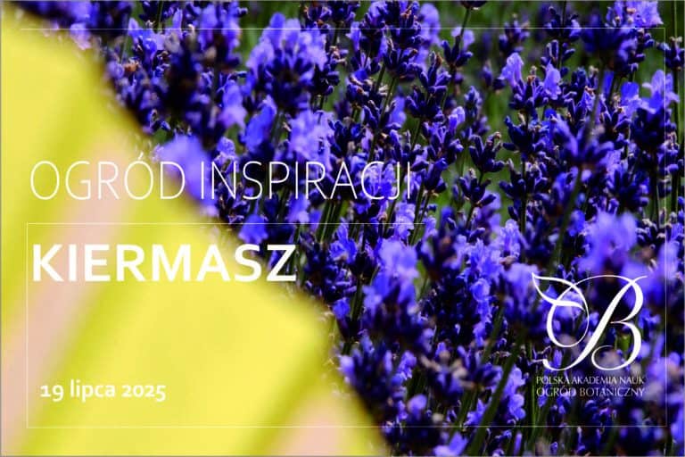 Garden of Inspiration - summer fair of handicrafts and gifts of nature