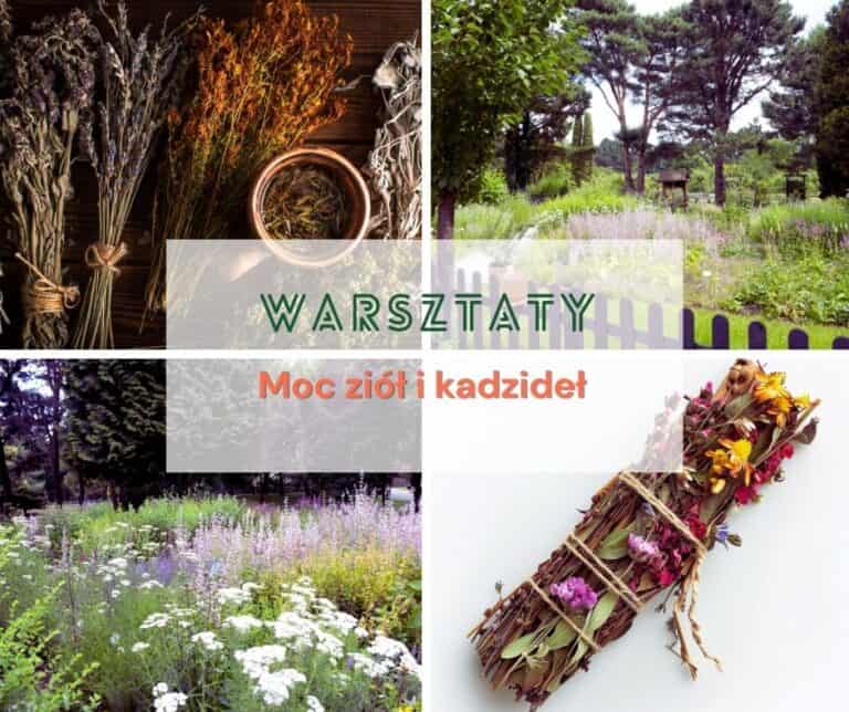 The power of herbs and incense - workshop