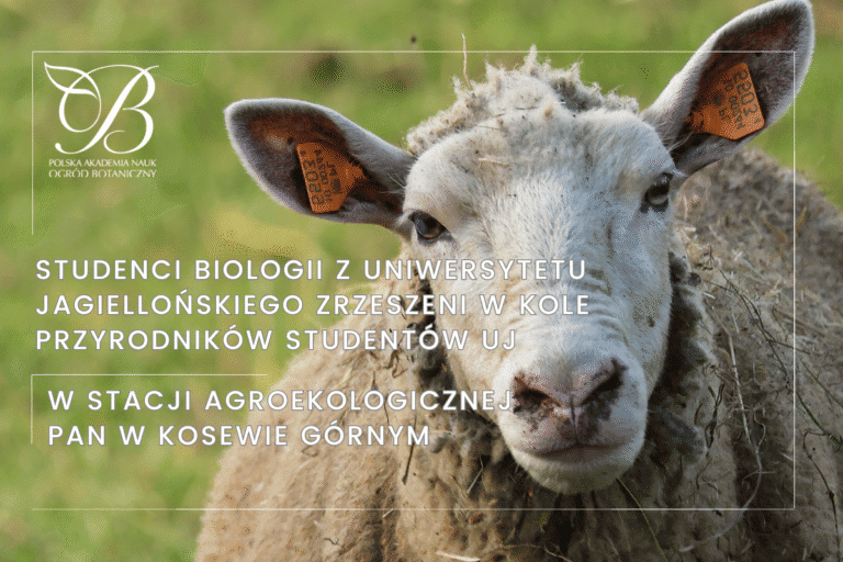 Studenci biologii z&nbsp;Uniwersytetu Jagiellońskiego zrzeszeni w&nbsp;Kole Przyrodników Studentów UJ&nbsp;w&nbsp;Stacji Agroekologicznej PAN w&nbsp;Kosewie Górnym